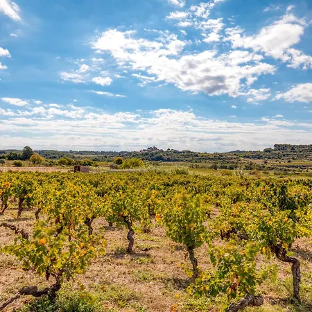 Petite Douillette - Saint-Pargoire