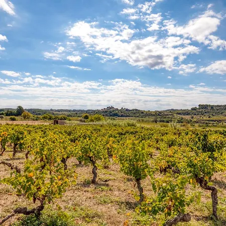 Petite Douillette - Saint-Pargoire